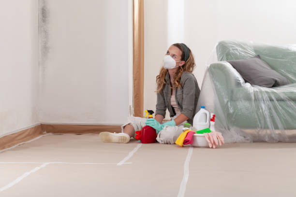 Reliable Mold Remediation contractor in Columbus, MN by Cheap Mold Removal